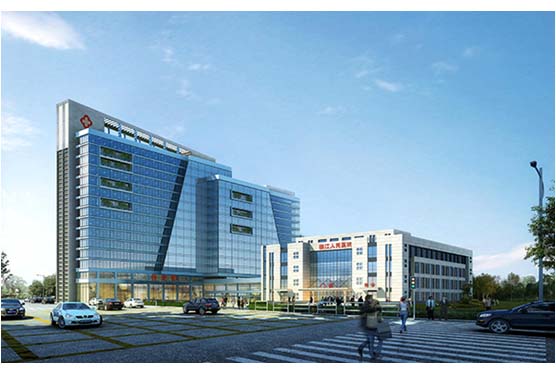 临江人民医院项目建议书、可行性研究报告