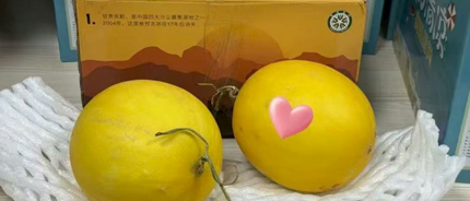 一份慰问，两份荣誉，让绿色接力跨越千里!